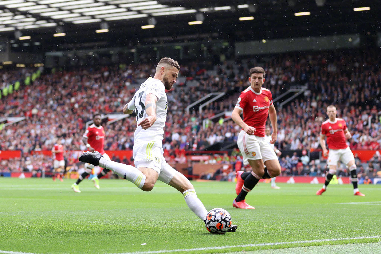 导致其他豪 导致其他豪